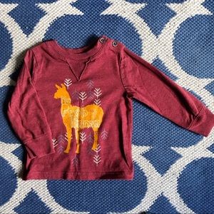 Boys No prob-llama long sleeved shirt